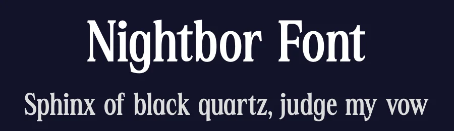 Nightbor Font by letterenastudios — Serif Font — thumbnail 2