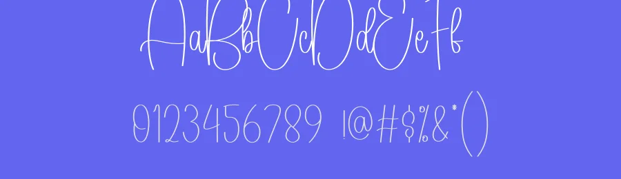 Nightday Calligraphy Font by creativeletter — Script Handwritten Font — thumbnail 3