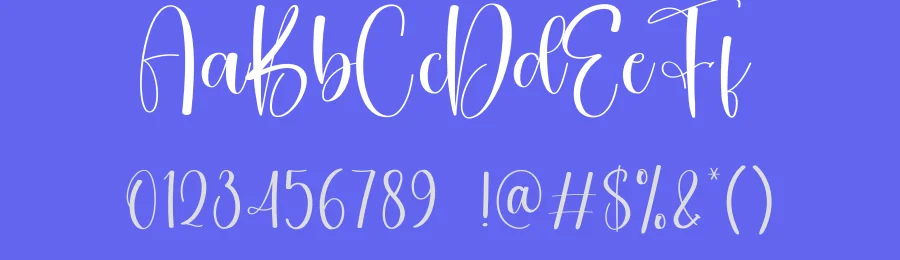 Nightday Calligraphy Script Font by creativeletter — Script Handwritten Font — thumbnail 3