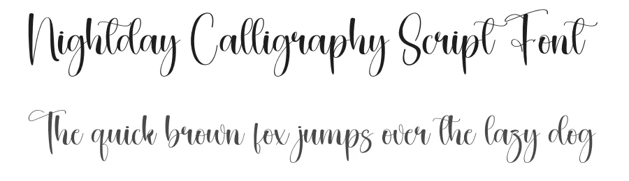 Nightday Calligraphy Script Font by creativeletter — Script Handwritten Font