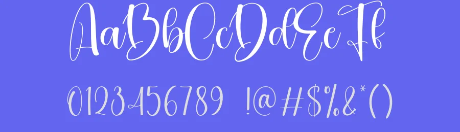 Nightside Calligraphy Script Font by creativeletter — Script Handwritten Font — thumbnail 3
