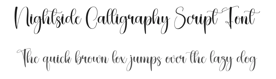 Nightside Calligraphy Script Font by creativeletter — Script Handwritten Font