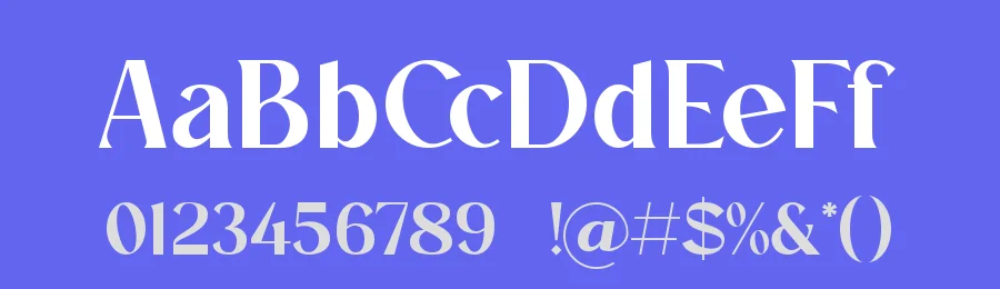 Ninetail – Serif Font by Slide Shoot Type — Sans Serif Font — thumbnail 3