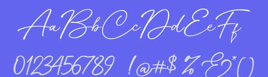 Ningetan Elegant Handwritten Font by Basnistudio — Script Handwritten Font — thumbnail 3
