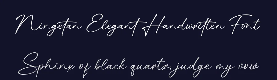Ningetan Elegant Handwritten Font by Basnistudio — Script Handwritten Font — thumbnail 2