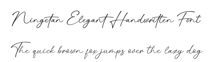 Ningetan Elegant Handwritten Font by Basnistudio — Script Handwritten Font
