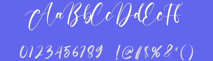 Nissa Font by creativeletter — Script Handwritten Font — thumbnail 3