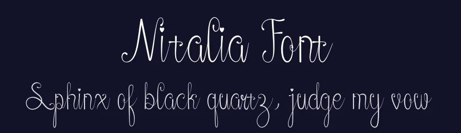 Nitalia Font by ronistudio — Script Handwritten Font — thumbnail 2