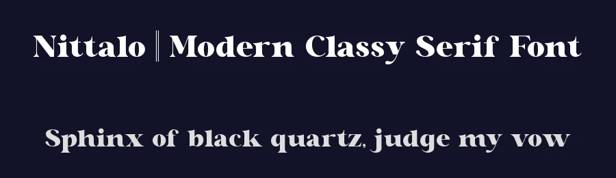 Nittalo || Modern Classy Serif Font by ErmediaStudio — Serif Font — thumbnail 2