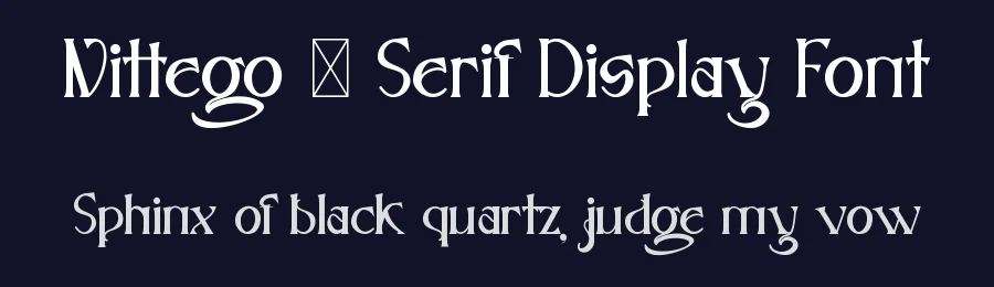 Nittego – Serif Display Font by Dhabee Studio — Display Font — thumbnail 2