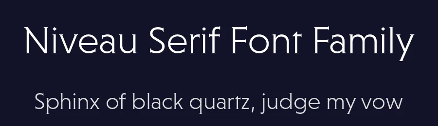 Niveau Serif Font Family by HVD Fonts — Sans Serif Font — thumbnail 2
