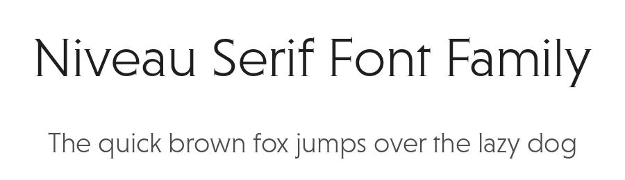 Niveau Serif Font Family by HVD Fonts β Sans Serif Font