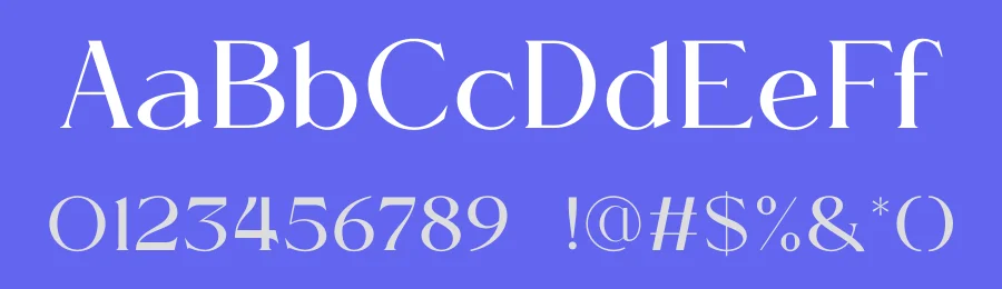 Nivella Font by Gridline Type — Serif Font — thumbnail 3