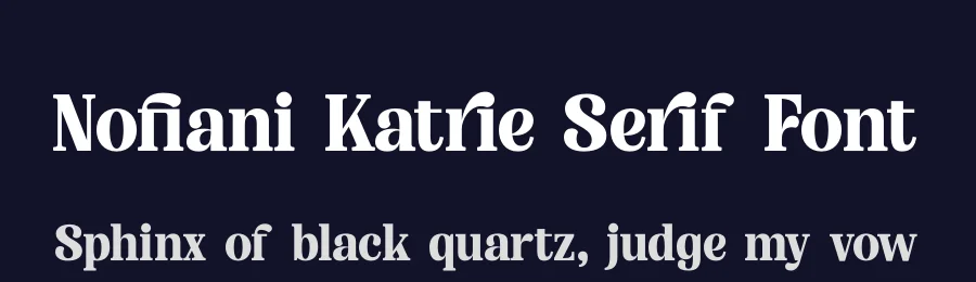 Nofiani Katrie Serif Font by timelesstype.co — Serif Font — thumbnail 2