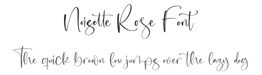 Noisette Rose Font by letterfabric — Script Handwritten Font