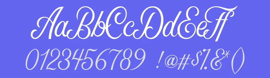 Nomah Light Script Font by Nicolas Fredrickson — Script Handwritten Font — thumbnail 3