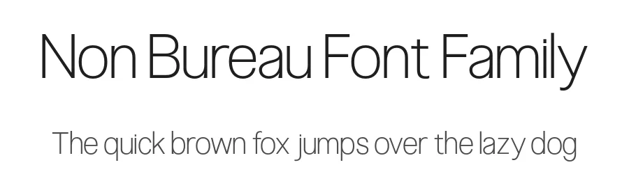 Non Bureau Font Family by Non Foundry β Decorative Font
