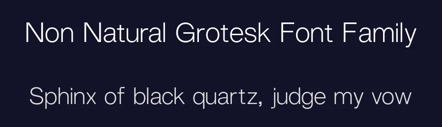 Non Natural Grotesk Font Family by Non Foundry — Sans Serif Font — thumbnail 2