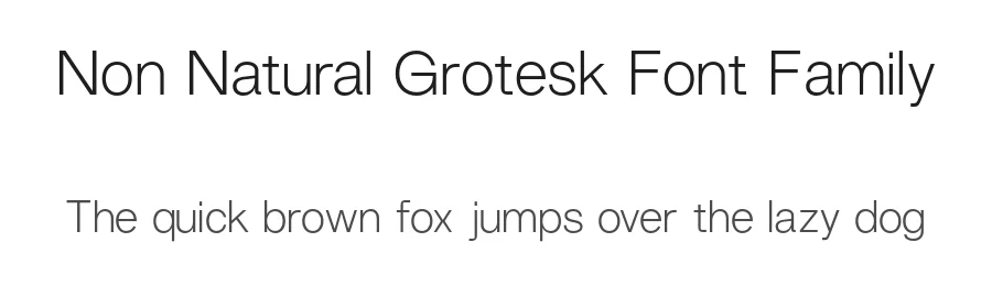 Non Natural Grotesk Font Family by Non Foundry β Sans Serif Font