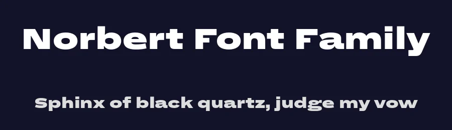 Norbert Font Family by Philipp Neumeyer — Sans Serif Font — thumbnail 2