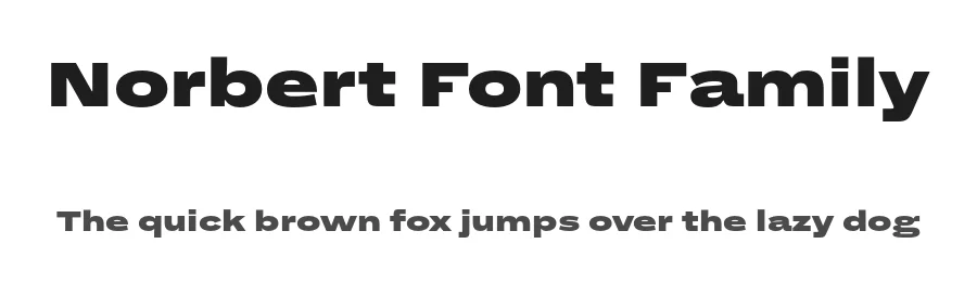 Norbert Font Family by Philipp Neumeyer — Sans Serif Font
