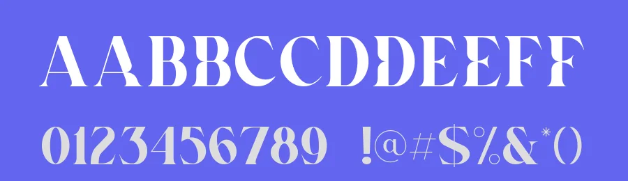 Norden Serif Font by Heinzel Std. — Serif Font — thumbnail 3