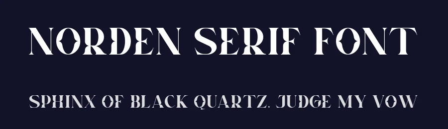 Norden Serif Font by Heinzel Std. — Serif Font — thumbnail 2