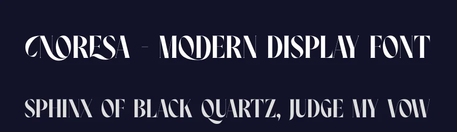 Noresa – Modern Display Font by timelesstype.co — Display Font — thumbnail 2