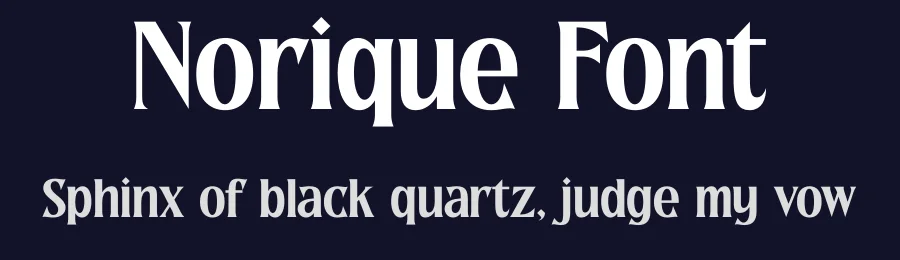 Norique Font by letterenastudios — Serif Font — thumbnail 2