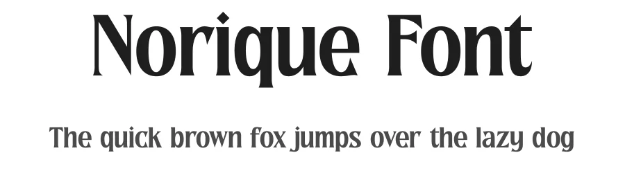 Norique Font by letterenastudios — Serif Font