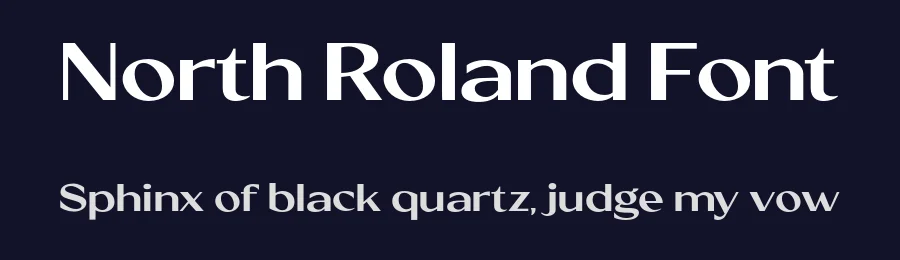 North Roland Font by Viswell Sudio — Sans Serif Font — thumbnail 2
