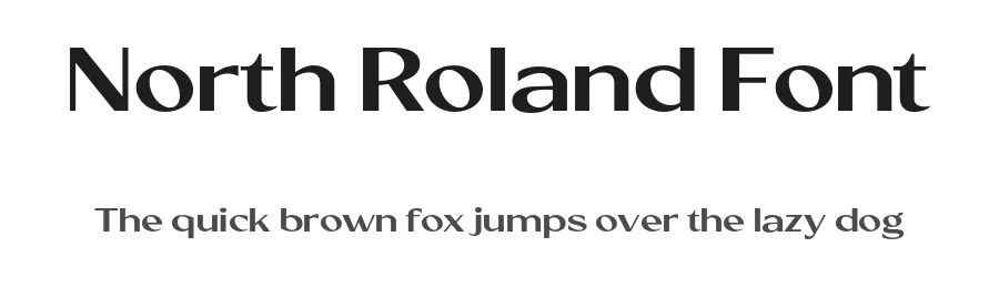 North Roland Font by Viswell Sudio — Sans Serif Font
