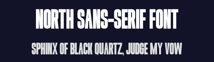North Sans-Serif Font by Funtype — Decorative Font — thumbnail 2
