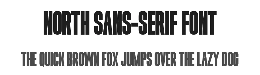 North Sans-Serif Font by Funtype — Decorative Font