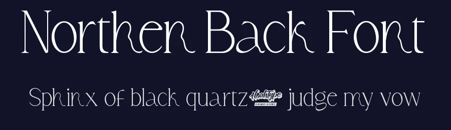 Northern Back Font by noahtype — Display Font — thumbnail 2