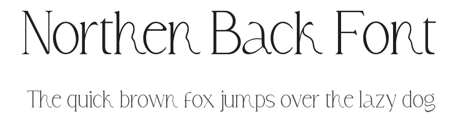 Northern Back Font by noahtype — Display Font