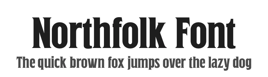 Northfolk Font by Heinzel Std. — Serif Font