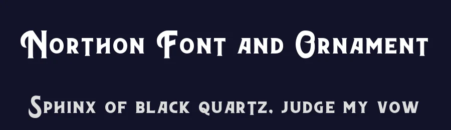 Northon Font and Ornament by Gartype Studio — Serif Font — thumbnail 2