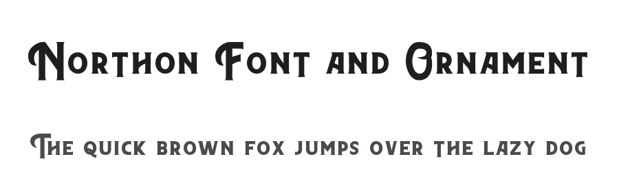 Northon Font and Ornament by Gartype Studio — Serif Font