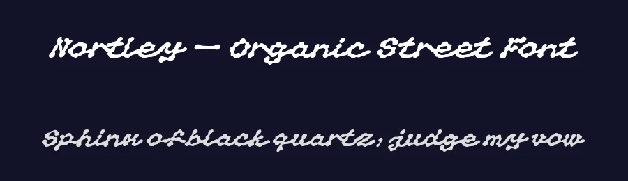 Nortley — Organic Street Font by Creacy Studio — Script Handwritten Font — thumbnail 2