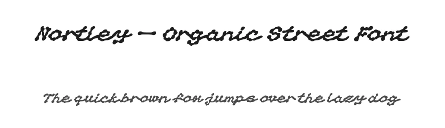 Nortley — Organic Street Font by Creacy Studio — Script Handwritten Font