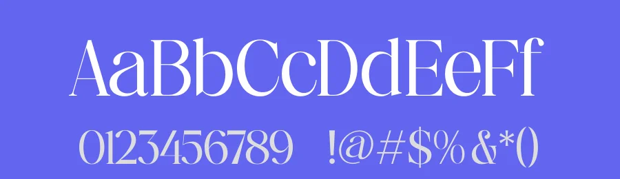 Nostalgic Flashy Font by timelesstype.co — Serif Font — thumbnail 3
