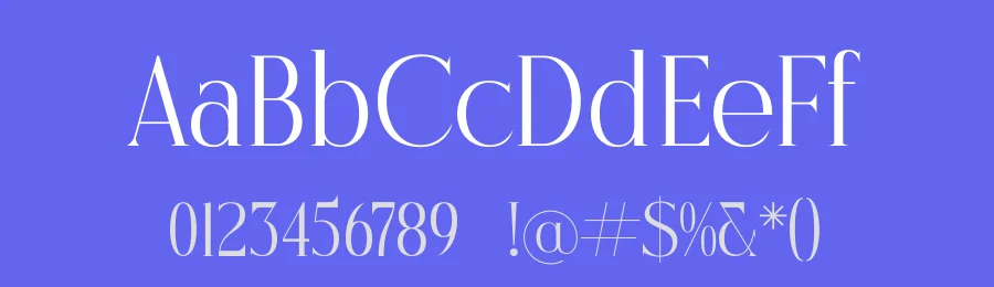 Nostalgin Font by letterenastudios — Serif Font — thumbnail 3