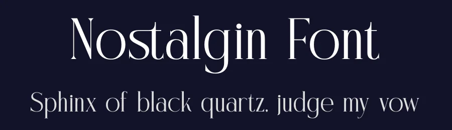 Nostalgin Font by letterenastudios — Serif Font — thumbnail 2
