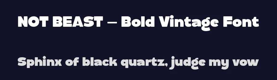 NOT BEAST – Bold Vintage Font by Salamahtype — Display Font — thumbnail 2