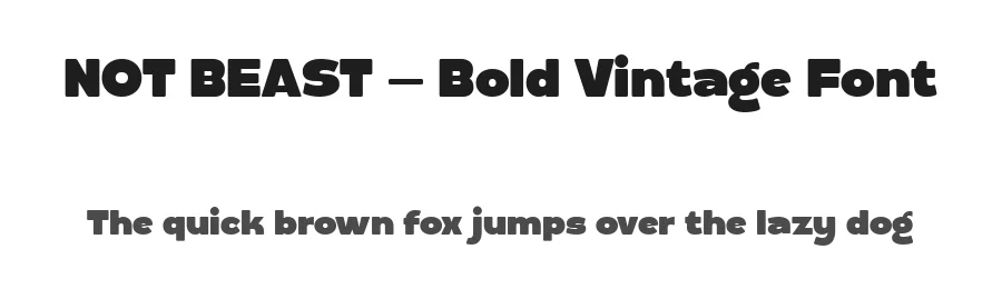 NOT BEAST – Bold Vintage Font by Salamahtype — Display Font