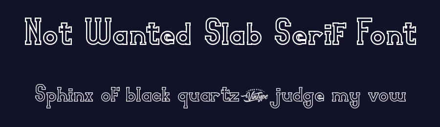Not Wanted Slab Serif Font by VinType — Slab Serif Font — thumbnail 2