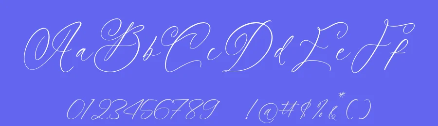Notheli Dahlia Script Font by stylishtype.co — Script Handwritten Font — thumbnail 3