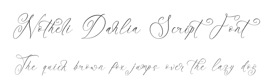 Notheli Dahlia Script Font by stylishtype.co — Script Handwritten Font