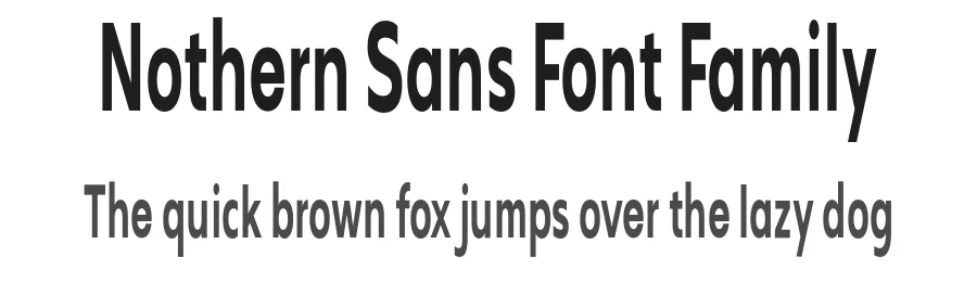 Nothern Sans Font Family by Propertype — Sans Serif Font